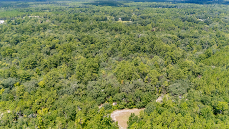 3 Bedroom Home on 35 Acres for Sale in Sanderson, Florida - image 36