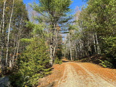 41 Acres with 1330 Ft on Long Lake - Northfield, ME - image 6