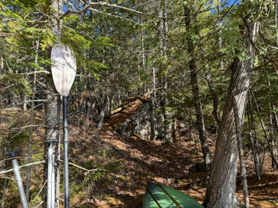 41 Acres with 1330 Ft on Long Lake - Northfield, ME - image 10