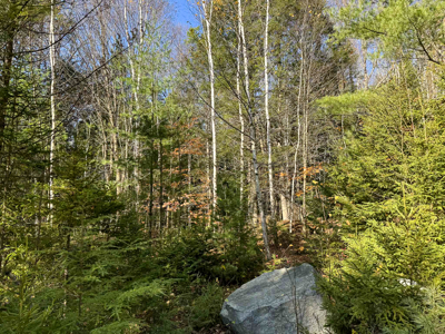 41 Acres with 1330 Ft on Long Lake - Northfield, ME - image 11