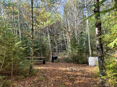 41 Acres with 1330 Ft on Long Lake - Northfield, ME - image 9