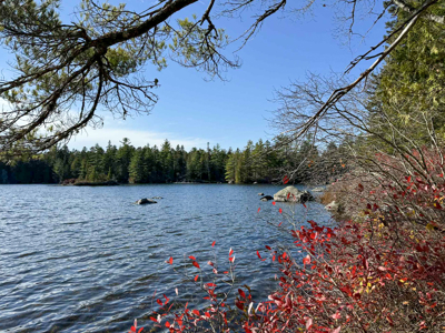 41 Acres with 1330 Ft on Long Lake - Northfield, ME - image 1