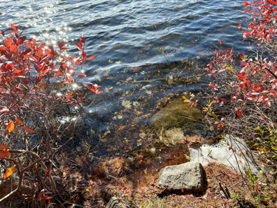 41 Acres with 1330 Ft on Long Lake - Northfield, ME - image 2