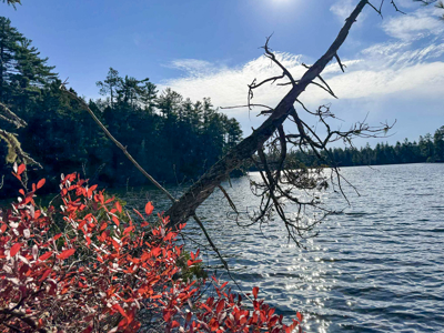 41 Acres with 1330 Ft on Long Lake - Northfield, ME - image 3