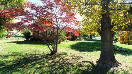 Stunning Home on 6.3 acres in Barren County, Kentucky - image 34