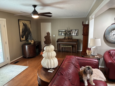 Stunning Home on 6.3 acres in Barren County, Kentucky - image 19