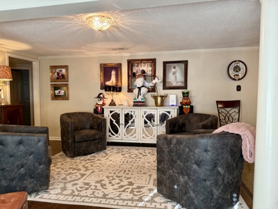 Country Home for sale Daleville, Alabama - image 4