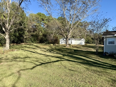 Country Home for sale Daleville, Alabama - image 11