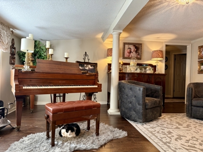 Country Home for sale Daleville, Alabama - image 3