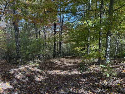 Secluded Country Home On 34.78+/- Acres & Garage - Middleburg, Ky - image 50