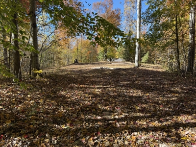 Secluded Country Home On 34.78+/- Acres & Garage - Middleburg, Ky - image 47