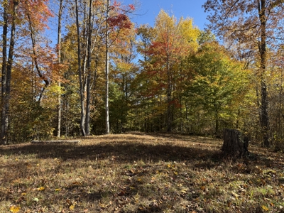 Secluded Country Home On 34.78+/- Acres & Garage - Middleburg, Ky - image 48