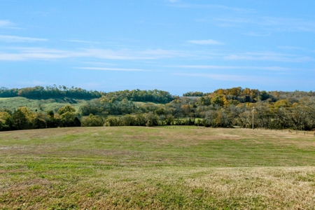 Country Home for Sale in Maury County, Tennessee - image 40