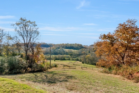 Country Home for Sale in Maury County, Tennessee - image 35