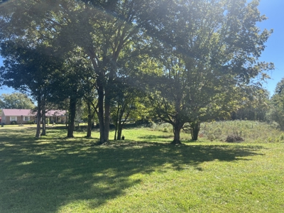 2+ Acres For Sale in Downtown Linden, Tennessee - image 3