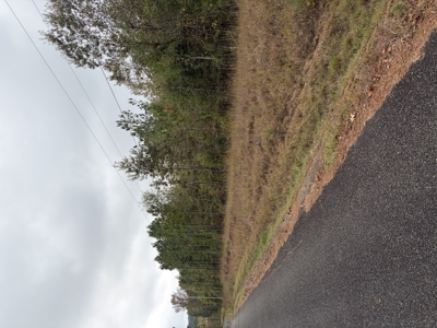“13.09 Wooded Acres on MC 35 – Prime Land with Power Available !! - image 4
