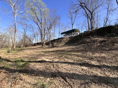 White River Retreat with 1 and 1/2 Bath RV and utilities - image 36