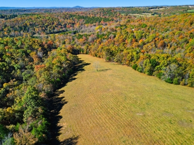 230 Acres – Ozark Hunting & Cattle Land Near Twin Lakes - image 17