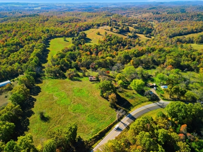 230 Acres – Ozark Hunting & Cattle Land Near Twin Lakes - image 4