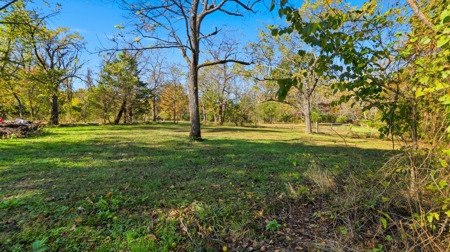 230 Acres – Ozark Hunting & Cattle Land Near Twin Lakes - image 21
