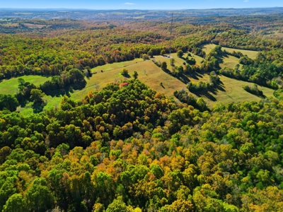 230 Acres – Ozark Hunting & Cattle Land Near Twin Lakes - image 7