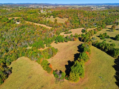 230 Acres – Ozark Hunting & Cattle Land Near Twin Lakes - image 26