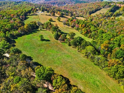 230 Acres – Ozark Hunting & Cattle Land Near Twin Lakes - image 25