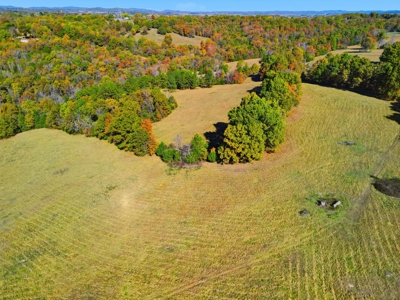 230 Acres – Ozark Hunting & Cattle Land Near Twin Lakes - image 1