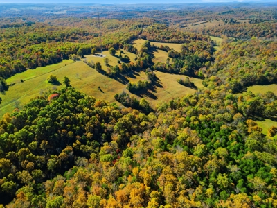 230 Acres – Ozark Hunting & Cattle Land Near Twin Lakes - image 19