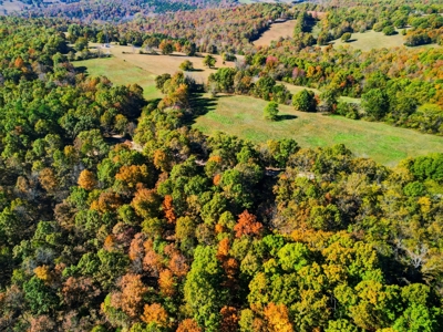 230 Acres – Ozark Hunting & Cattle Land Near Twin Lakes - image 20