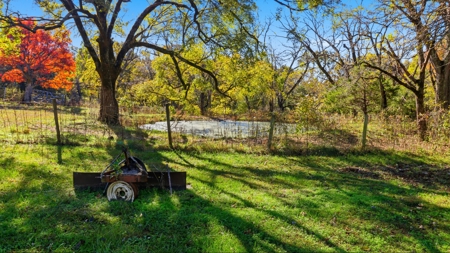230 Acres – Ozark Hunting & Cattle Land Near Twin Lakes - image 22