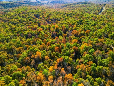 230 Acres – Ozark Hunting & Cattle Land Near Twin Lakes - image 8