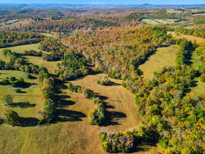 230 Acres – Ozark Hunting & Cattle Land Near Twin Lakes - image 10
