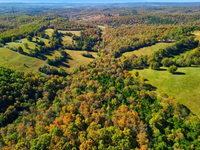 230 Acres – Ozark Hunting & Cattle Land Near Twin Lakes - image 24