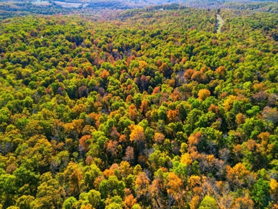 230 Acres – Ozark Hunting & Cattle Land Near Twin Lakes - image 18