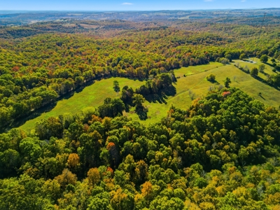 230 Acres – Ozark Hunting & Cattle Land Near Twin Lakes - image 11