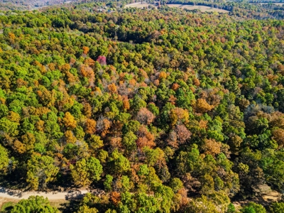 230 Acres – Ozark Hunting & Cattle Land Near Twin Lakes - image 29