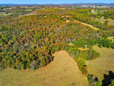 230 Acres – Ozark Hunting & Cattle Land Near Twin Lakes - image 36