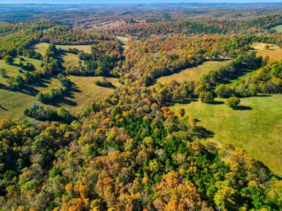 230 Acres – Ozark Hunting & Cattle Land Near Twin Lakes - image 33