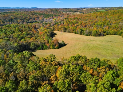 230 Acres – Ozark Hunting & Cattle Land Near Twin Lakes - image 35