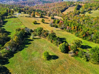 230 Acres – Ozark Hunting & Cattle Land Near Twin Lakes - image 9
