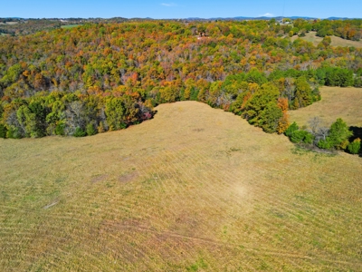 230 Acres – Ozark Hunting & Cattle Land Near Twin Lakes - image 6