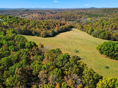 230 Acres – Ozark Hunting & Cattle Land Near Twin Lakes - image 31