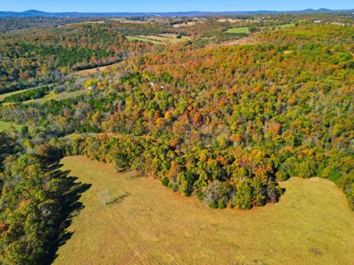 230 Acres – Ozark Hunting & Cattle Land Near Twin Lakes - image 30