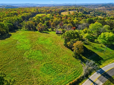 230 Acres – Ozark Hunting & Cattle Land Near Twin Lakes - image 3