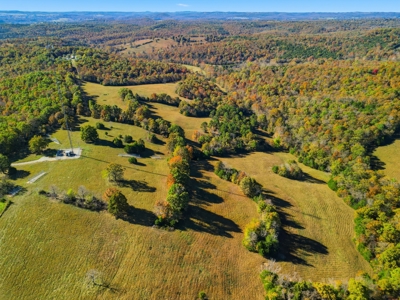 230 Acres – Ozark Hunting & Cattle Land Near Twin Lakes - image 27