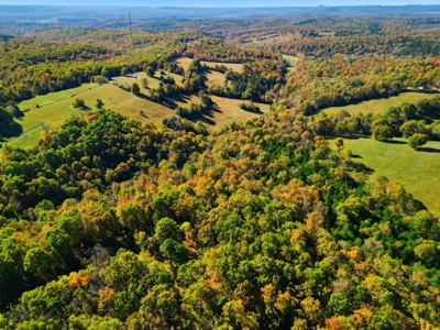 230 Acres – Ozark Hunting & Cattle Land Near Twin Lakes - image 5