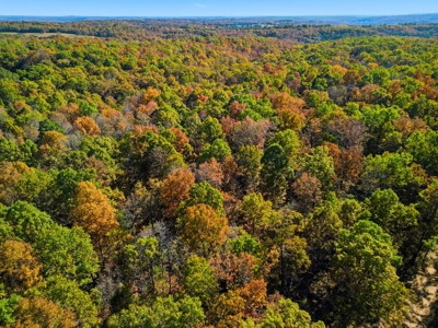 230 Acres – Ozark Hunting & Cattle Land Near Twin Lakes - image 12