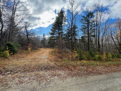 Peaceful Log Cabin Retreat with 128.8 Acres - image 14