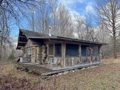 Peaceful Log Cabin Retreat with 128.8 Acres - image 1